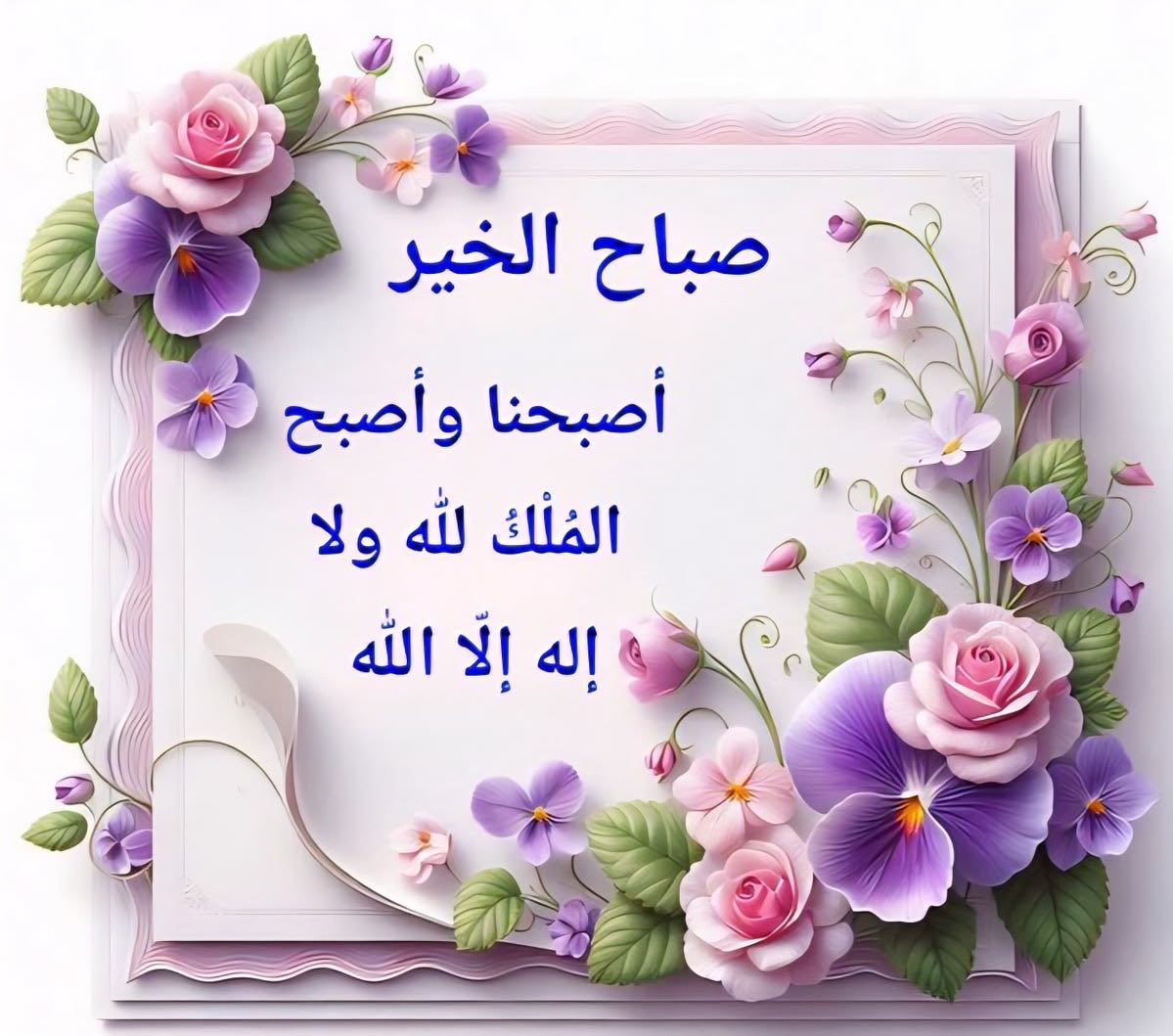 حمد الشحي tweet media