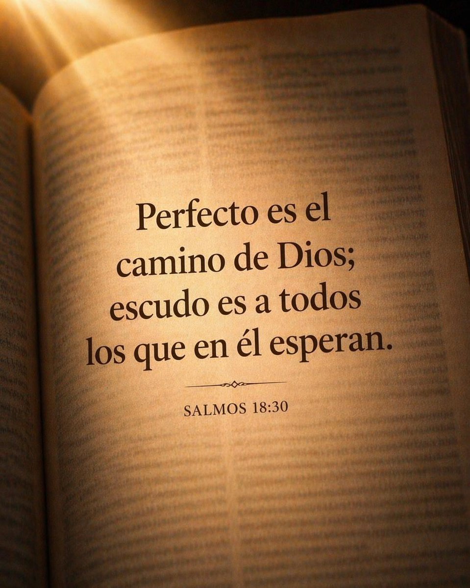 El Salmista tweet media