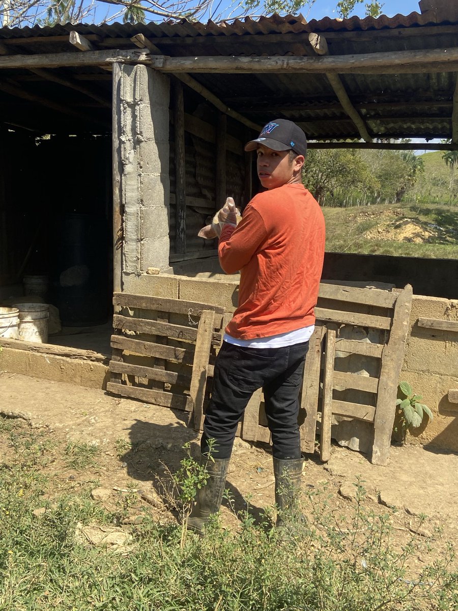 jones_x3's tweet photo. “Comprometido con la educación y apasionado por la producción porcina como motor de desarrollo, disciplina y crecimiento sostenible.” https://t.co/dsmD5BdQLj
