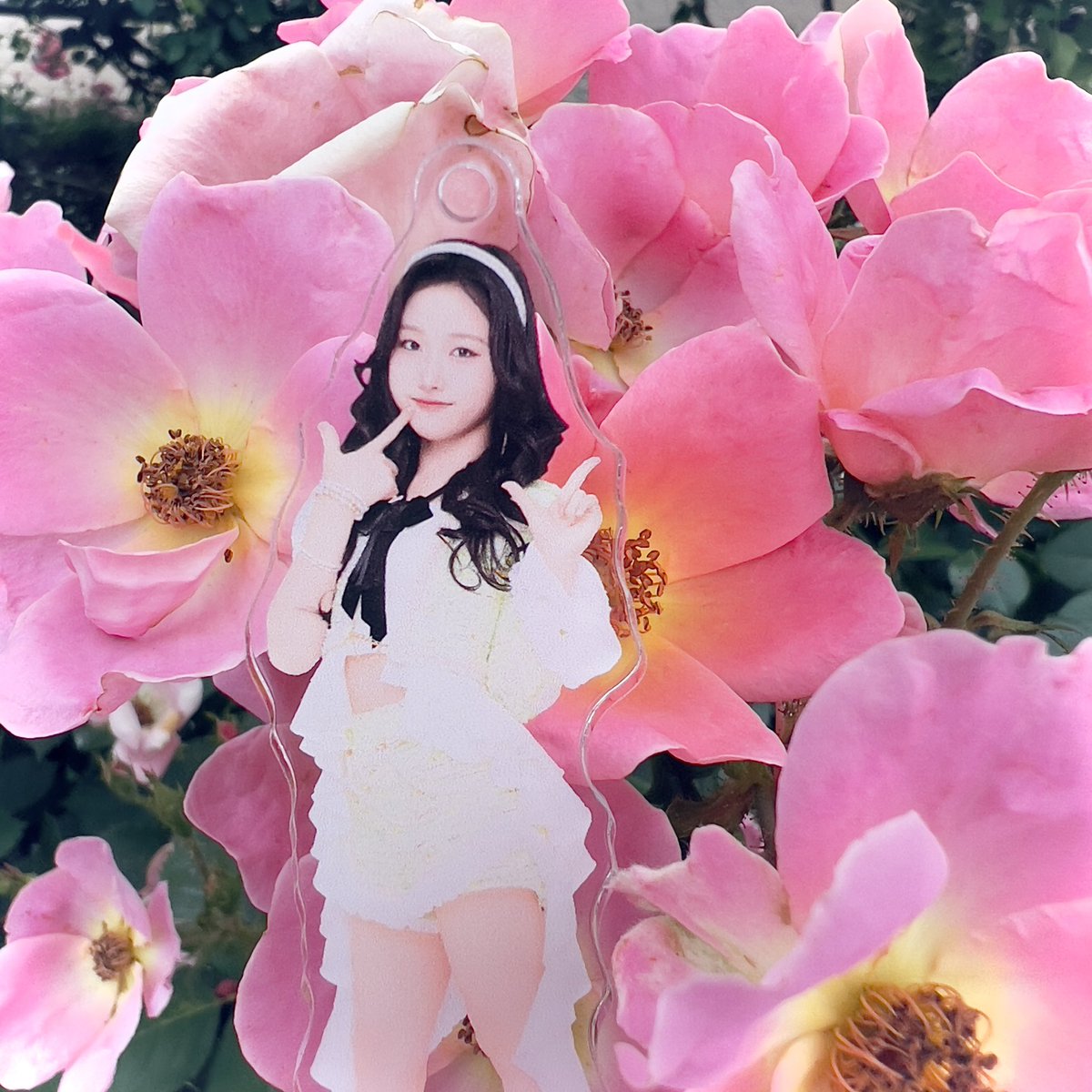 hello_jpidol's tweet photo. 彩加里ちゃん、山下公園ではお花が咲き誇ってたよ！！🌟💐
ぴあアリ2daysお疲れ様でした！！
#Juice_Juice
#遠藤彩加里 https://t.co/MOK6rw3Sxy