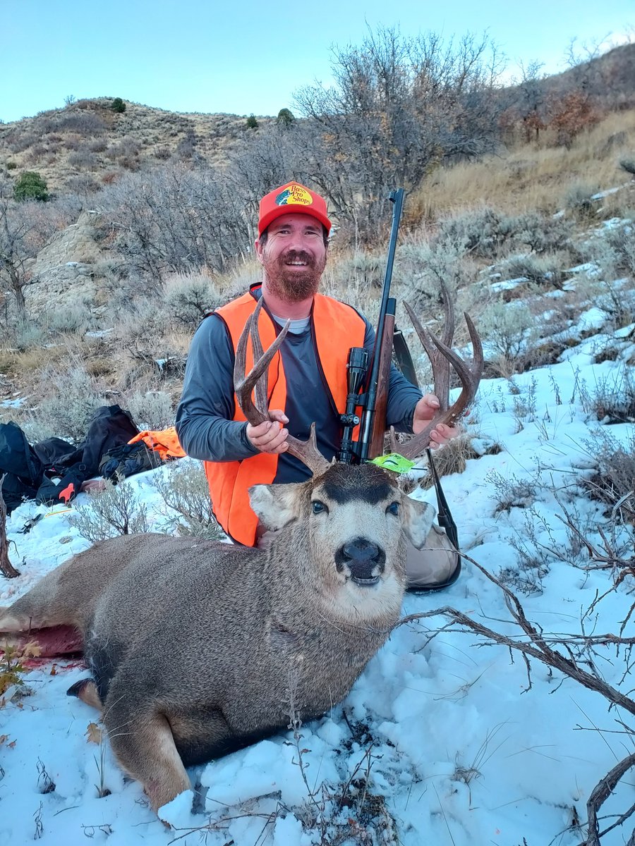 chrishert1's tweet photo. Great success! I will be hunting in November again! I got my either sex mule deer tag for Colorado! Let's hope for another successful year and hope the bruiser in the third Pic is still hanging around! @CliffGry https://t.co/VYi5UYLoAu