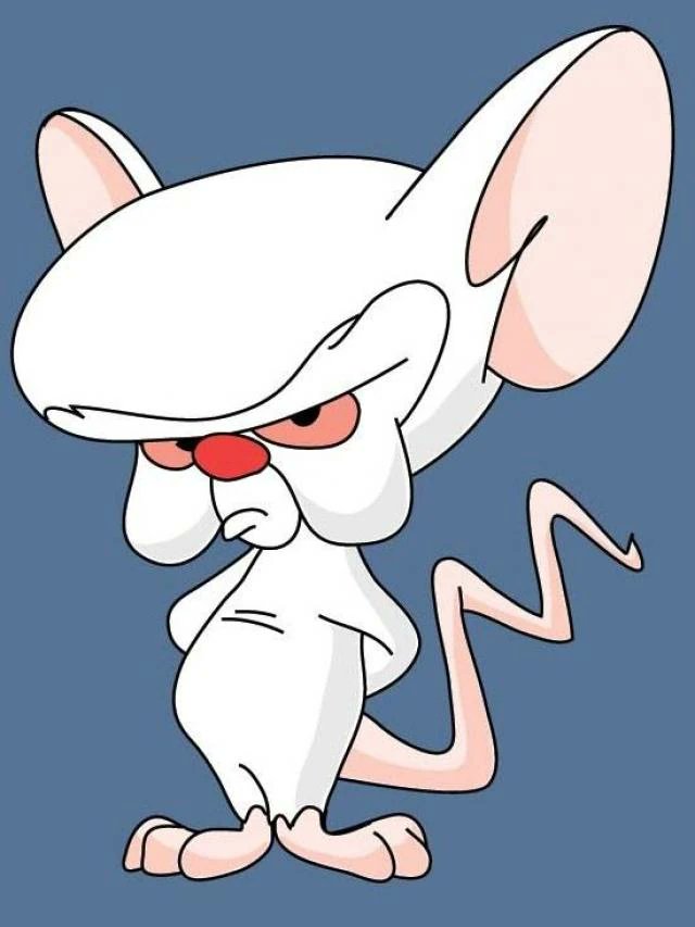 jaykender's tweet photo. @jrsestaca Muy Pero muy feliz cumpleaños, deseo que en este nuevo ciclo logres conquistar el mundo...
...con ayuda de Pinky!! https://t.co/vKu6uZXHm7