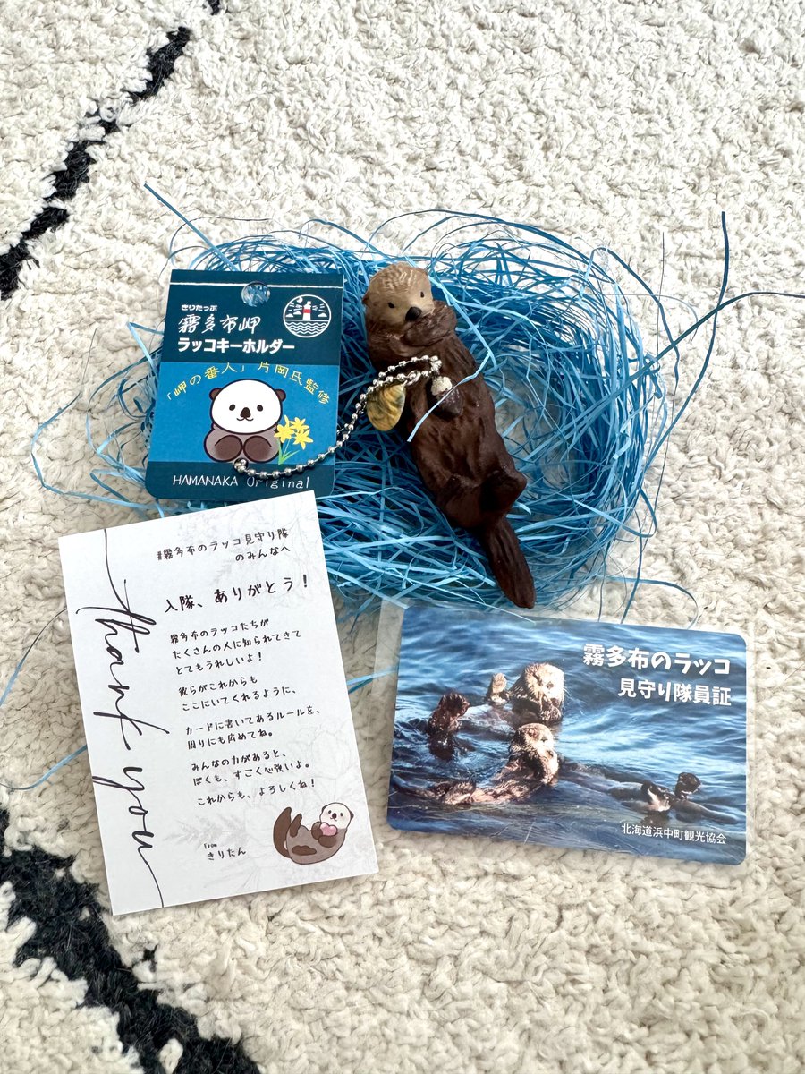 mo7_mo22_'s tweet photo. 霧多布のラッコキーホルダー無事に我が家にも届きました🦦✨
思ってたより大きくてちびメイちゃんと縦の大きさ同じくらいでした🥰
はるばる北海道から来てくれて嬉しい🎶
大切にします🦦💕
#霧多布ラッコ #ラッコ #浜中町 #SWANY https://t.co/OeV1NcRy7Q