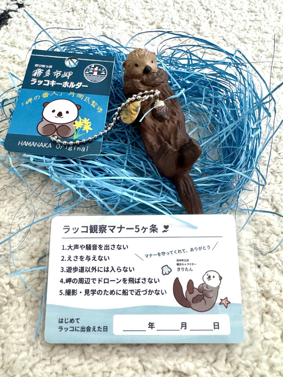 mo7_mo22_'s tweet photo. 霧多布のラッコキーホルダー無事に我が家にも届きました🦦✨
思ってたより大きくてちびメイちゃんと縦の大きさ同じくらいでした🥰
はるばる北海道から来てくれて嬉しい🎶
大切にします🦦💕
#霧多布ラッコ #ラッコ #浜中町 #SWANY https://t.co/OeV1NcRy7Q