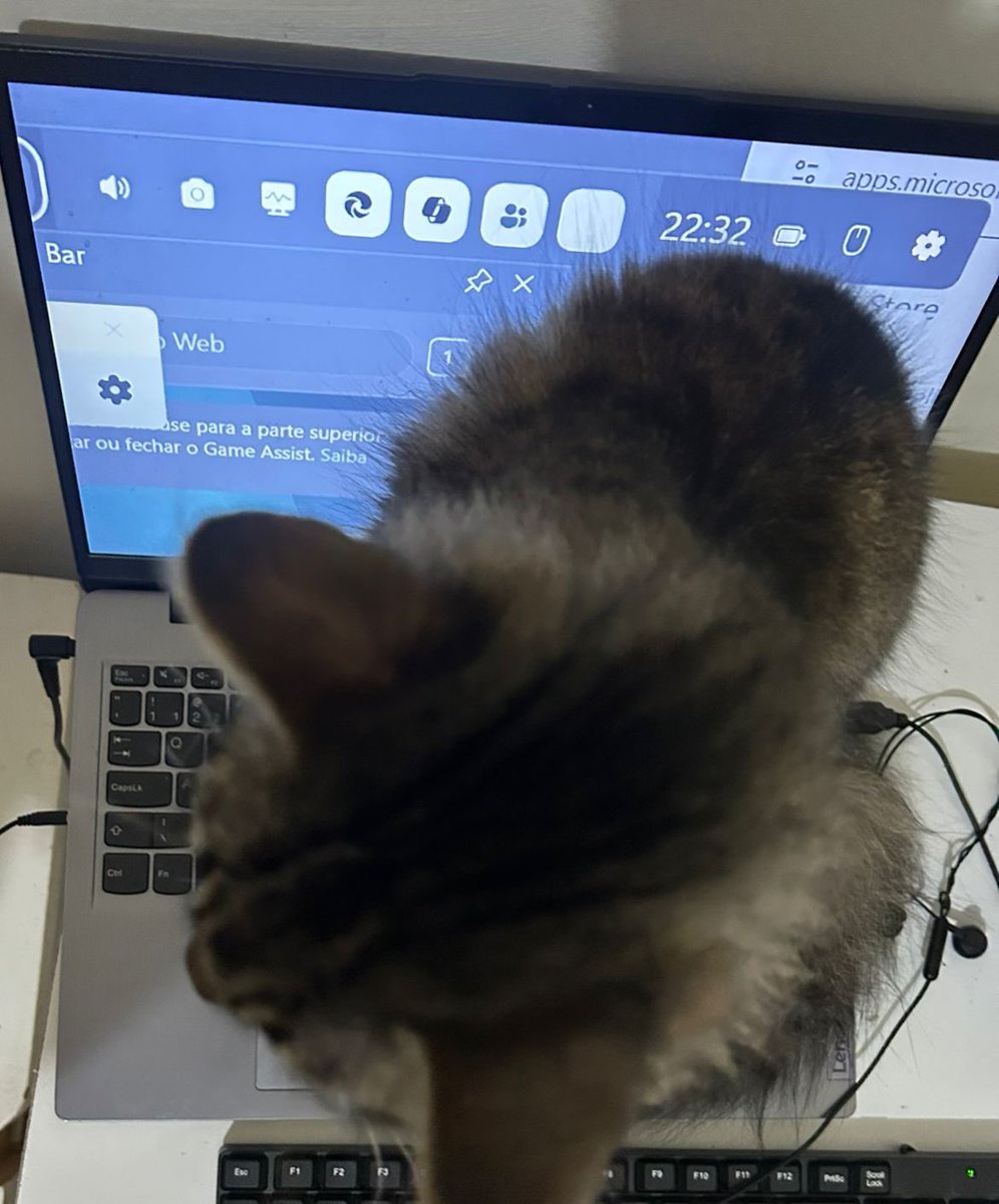 fellipe tweet media