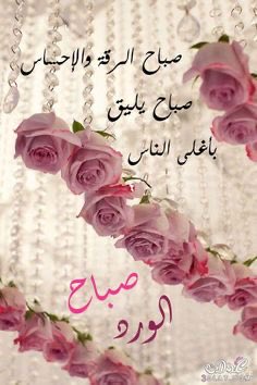 Mohammadalf2017's tweet photo. https://t.co/znJVhNFmfX