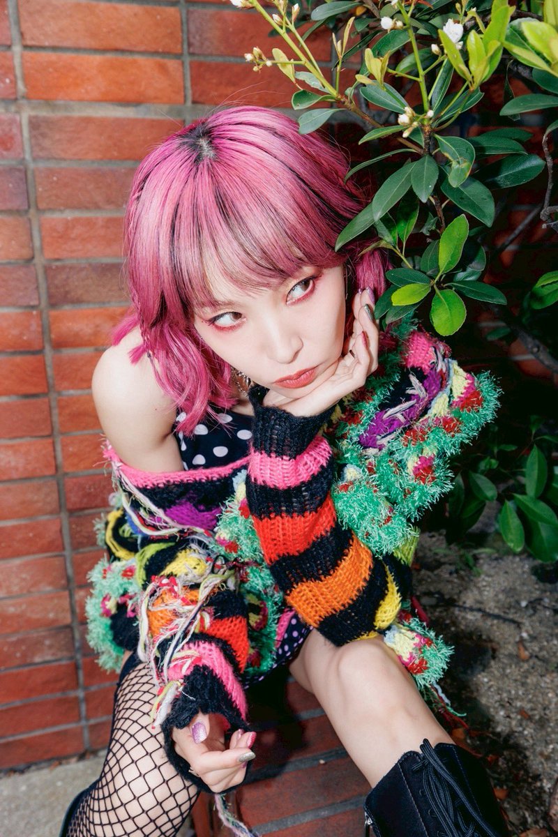 LiSA tweet media
