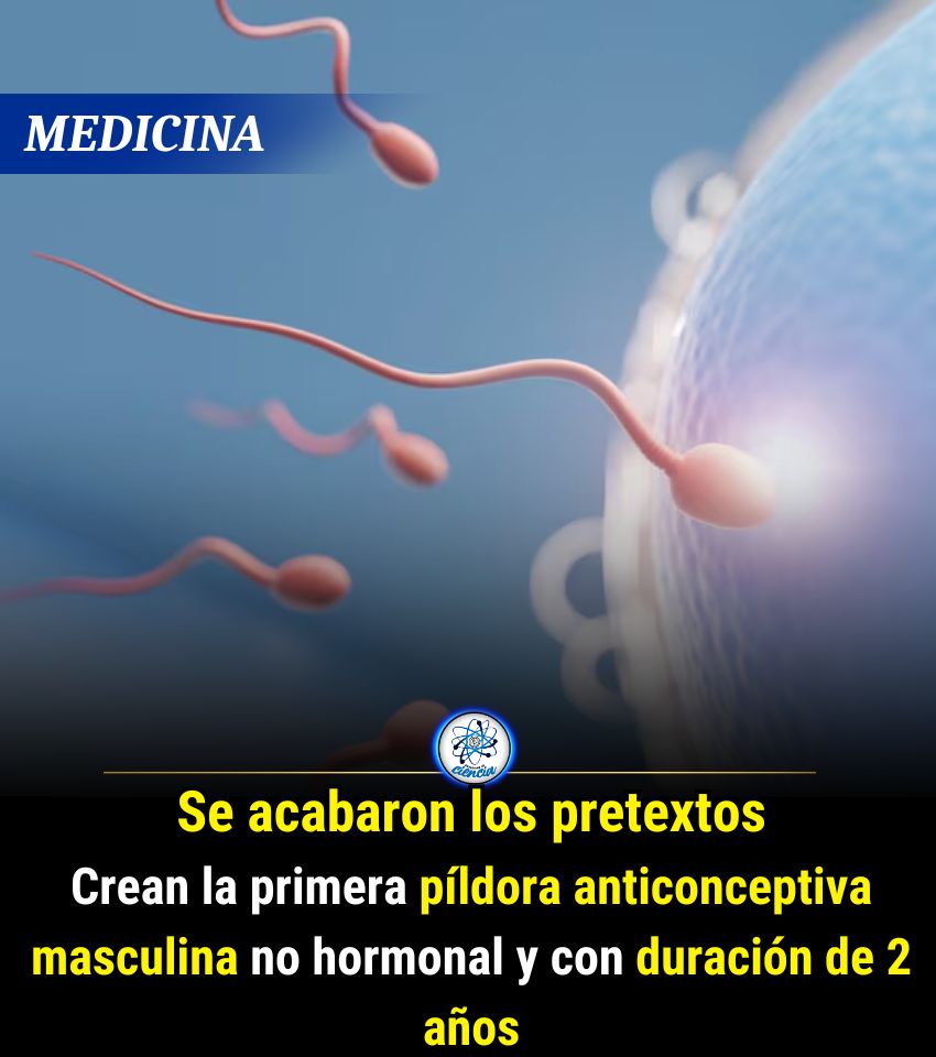 Enséñame de Ciencia tweet media