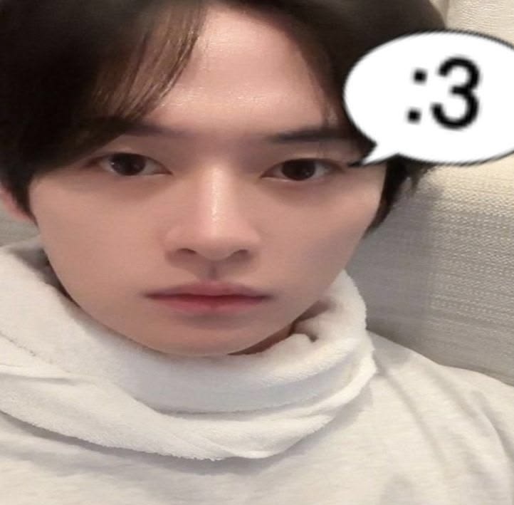 ren ; ✿ tweet media