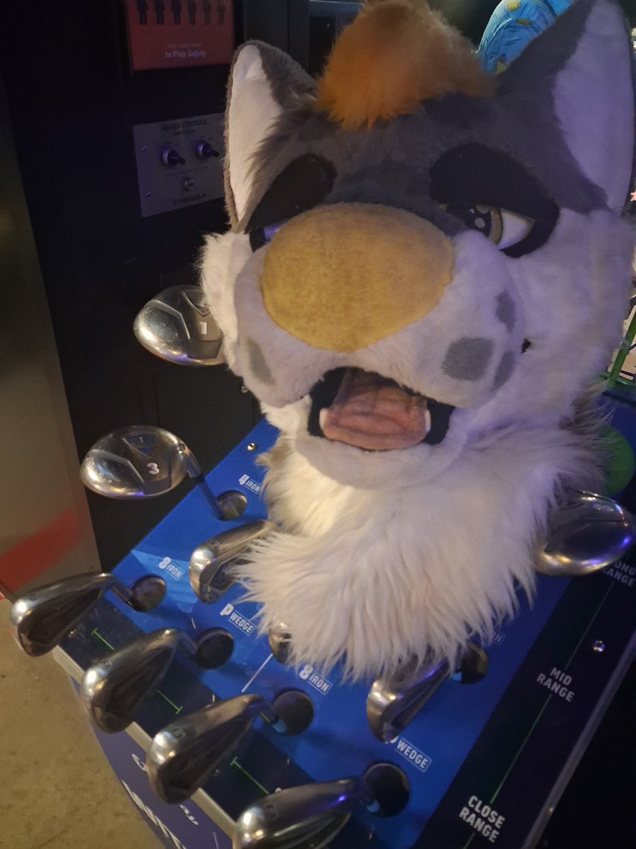 CheckersTolfAD's tweet photo. Alright babe holes out poles out let's get to fucking and get this W

Butter dawg @MasterAshKechum https://t.co/w1tsMwys2P
