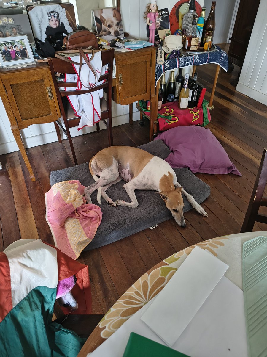 rainedrop86's tweet photo. Vomited on both beds during a rain cell 🙃 https://t.co/4TdQ1c3RRH