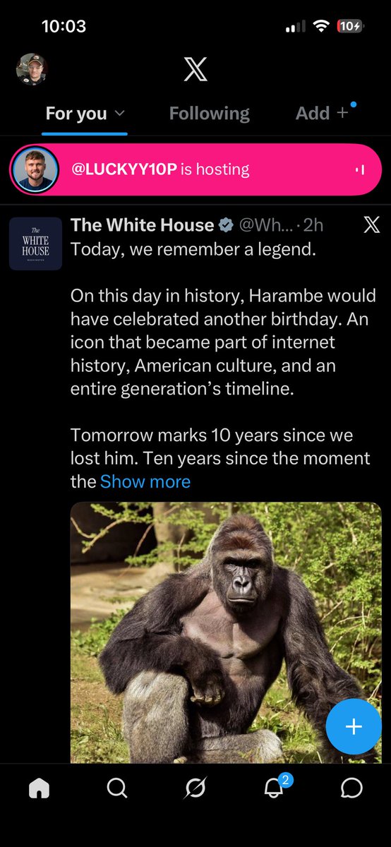 TomB913's tweet photo. What is the world we live in anymore? https://t.co/rhZKI8EKc1