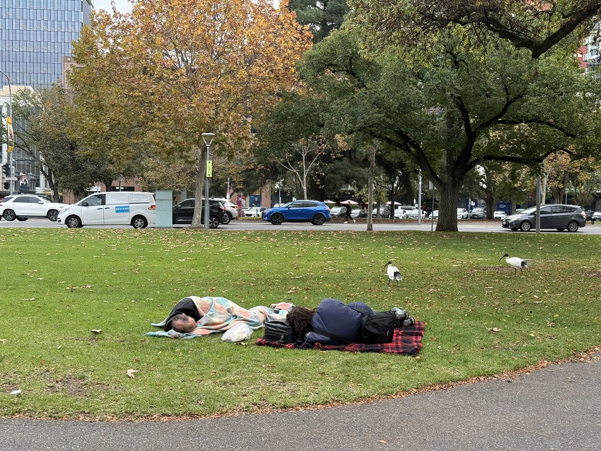 懂的都懂 🇦🇺 tweet media