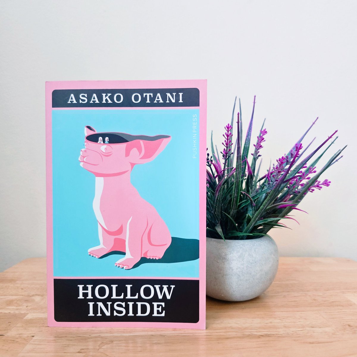 TheBookshopMan's tweet photo. I have just read #HollowInside by Asako Otani.

A superb novella that explores themes such as fertility, womanhood, family, isolation and loneliness. My one criticism is that I wish it were 10 times longer... but then perhaps that is the genius of this excellent book. A real gem. Otani is one to watch!