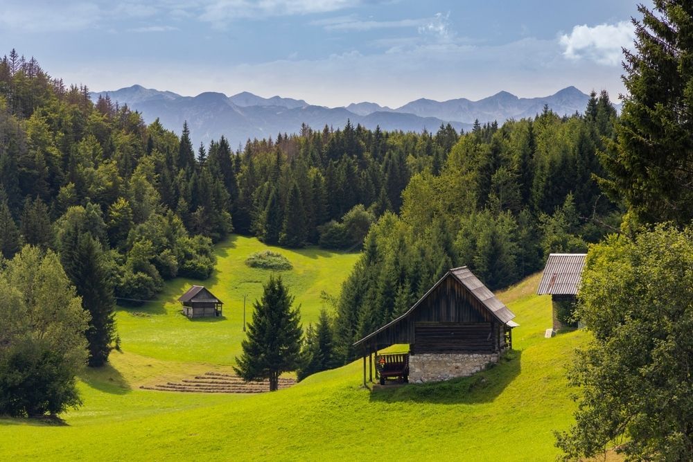 WTGTravelGuide's tweet photo. 🇸🇮 In Triglav National Park, emerald meadows, alpine forests, and quiet wooden cabins come together in perfect harmony.  

#Slovenia #TriglavNationalPark #TravelInspiration #ExploreMore #WorldTravelGuide

https://t.co/gI9U8CrCT0 https://t.co/siqqXtFqT8