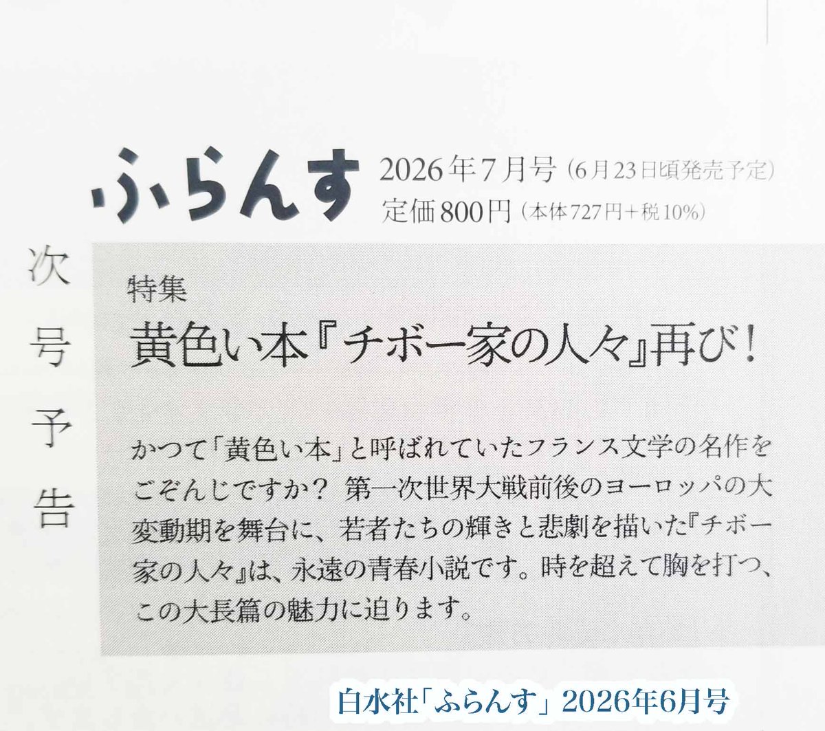 白水社ふらんす 2026年6月号発売中。 ［特集］謎のアーティストInvader