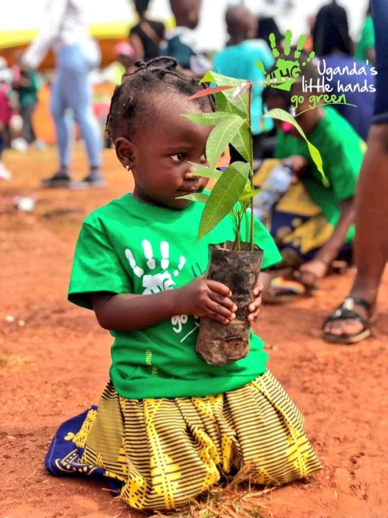 LilHandsGoGreen's tweet photo. It goes beyond simply planting trees. By nurturing young minds with patience and constructive values, @LilHandsGoGreen cultivates a generation of inspired individuals who will naturally champion environmental stewardship and positive community impact in the future. #GoGreenUg https://t.co/htMS3t68oi