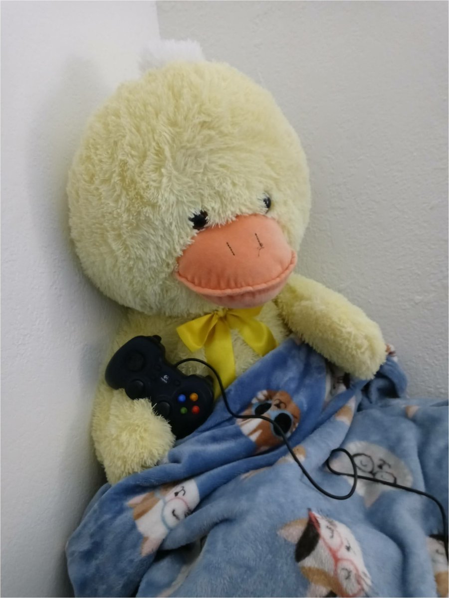 Stephie 🦆 tweet media