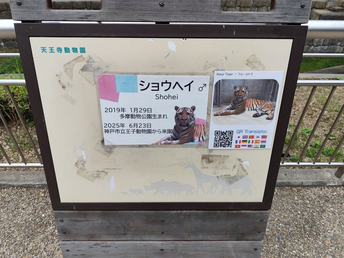 ぱすかる tweet media
