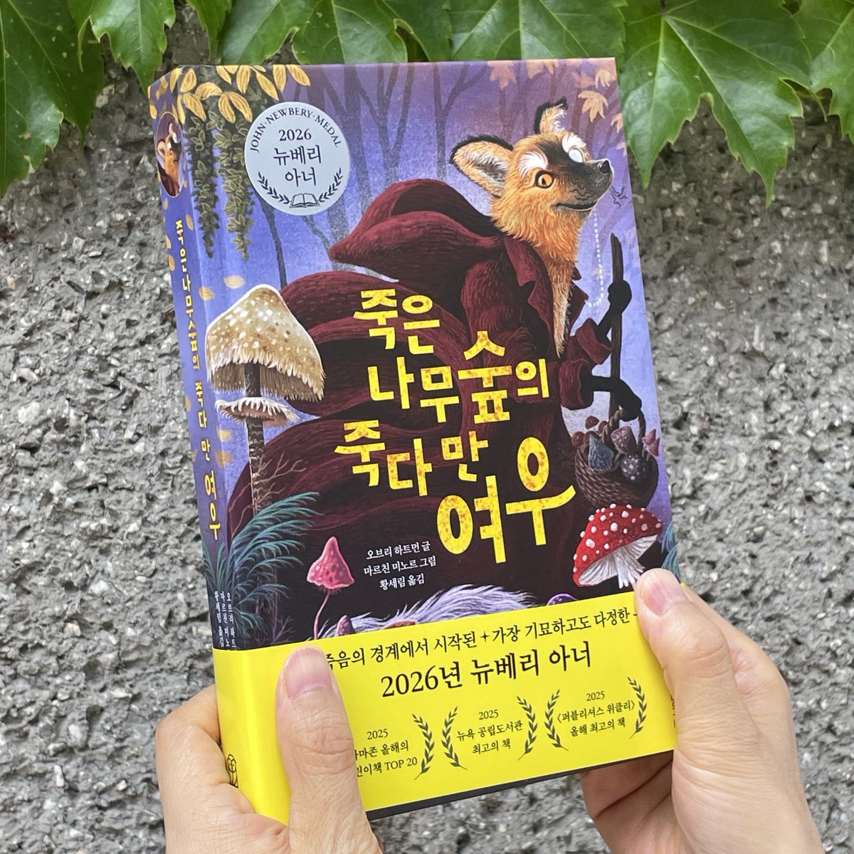 위즈덤하우스 tweet media