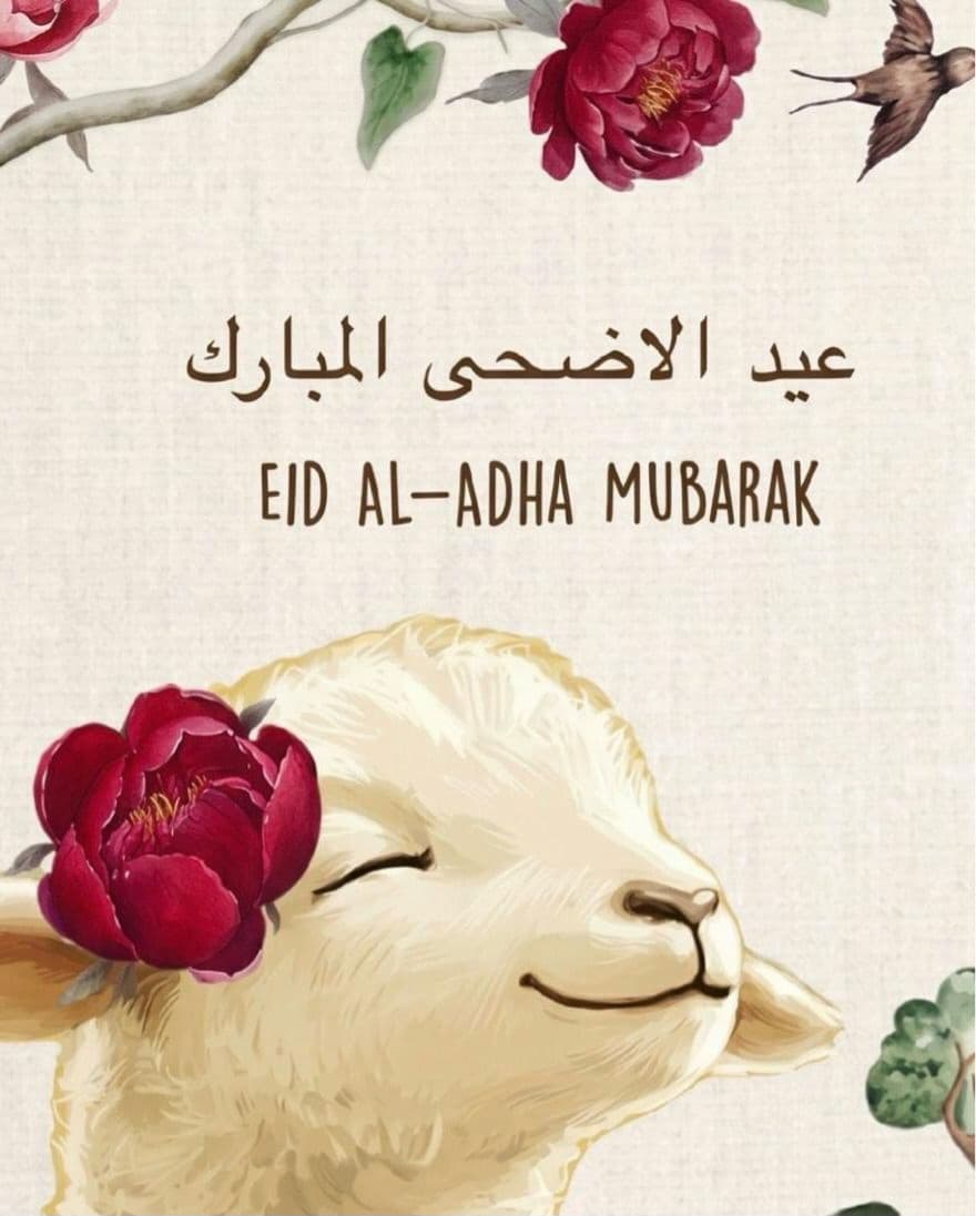 🌙 tweet media