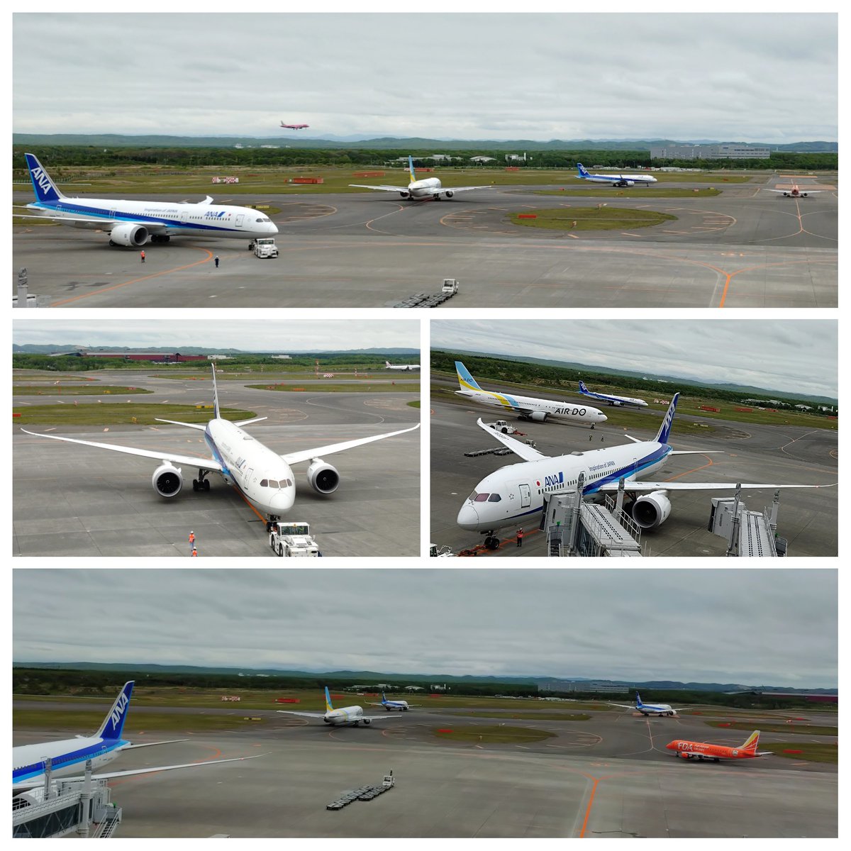 take_3_osaka's tweet photo. 大阪帰ろ 🍻ε-(´∀｀*)ﾎｯ🍺

✈️  ✈️  ✈️  ✈️  ✈️
#札幌ランチ 
#すすきの２泊   🤤 🤤 🤤 https://t.co/zSyyIXtZML
