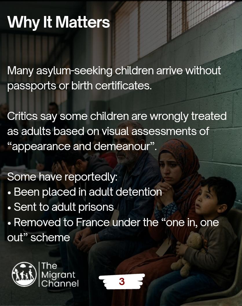 The Migrant Channel tweet media