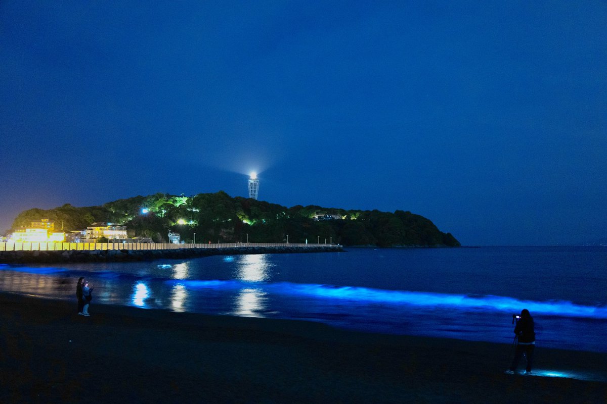 yakeifan's tweet photo. ／
夜景ニュース💡
＼
江の島・片瀬海岸西浜、鎌倉・由比ガ浜で夜光虫輝く
#夜景FAN #夜光虫 https://t.co/QbM0u70uoZ