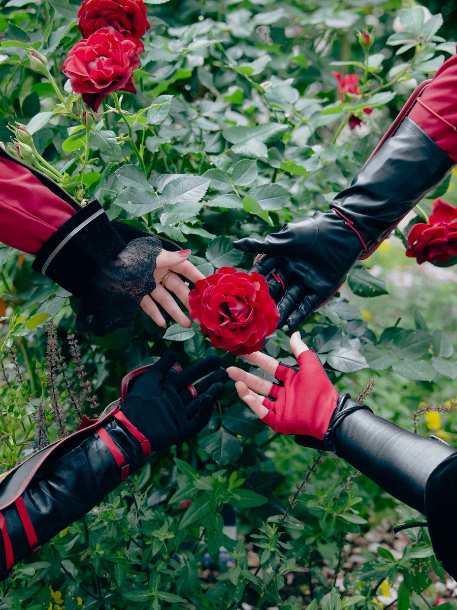 cocoro_05_18's tweet photo. cos/刀剣乱舞
.
紅
.
 #四本の薔薇を主に https://t.co/N8fNtwGgr1
