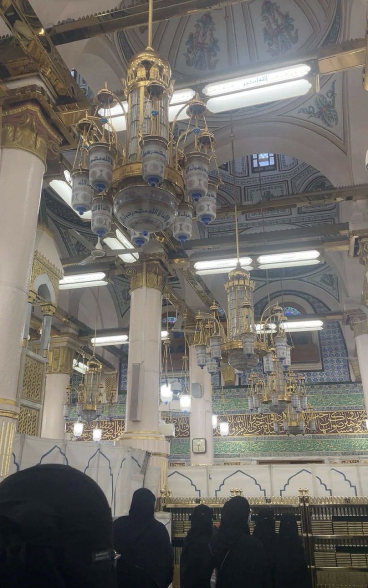 duaa_imam's tweet photo. والحمدلله الذي يسر لنا هذه الأيام الفضيلة في #مدينة رسول الله.. وكأنما نطوي بها صفحات عام مضى، ونستقبل عاماً جديداً بقلوب مطمئنة.. 🕊️ https://t.co/etrf16h8DW
