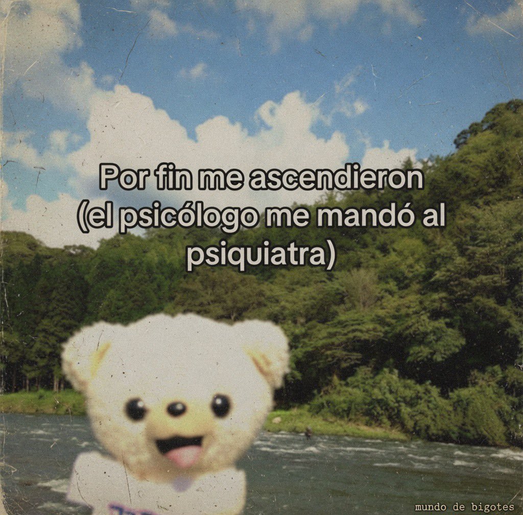 FraseSimple's tweet photo. https://t.co/5lERuIL32v