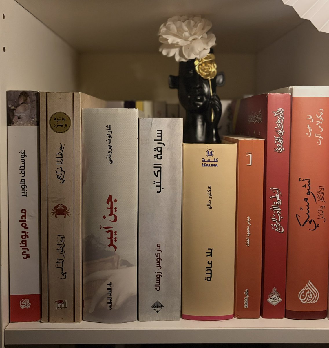 R17085907's tweet photo. 📚✨ https://t.co/JbtS4ygRcu