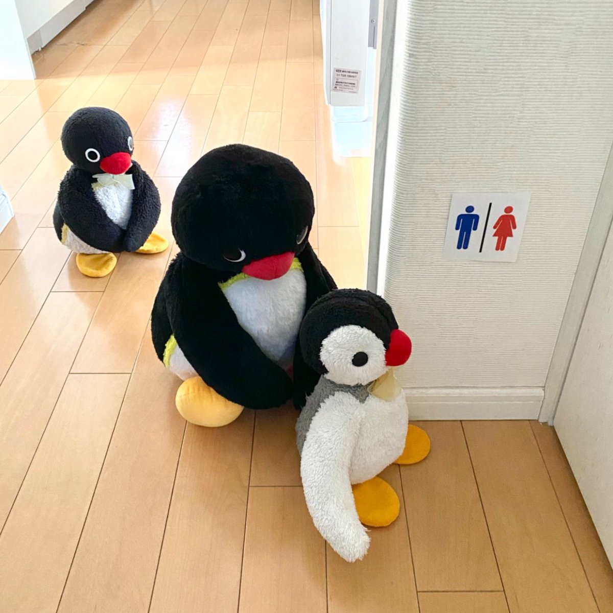 pingmyping's tweet photo. 🐧🚻 https://t.co/T6HDDCRt7S