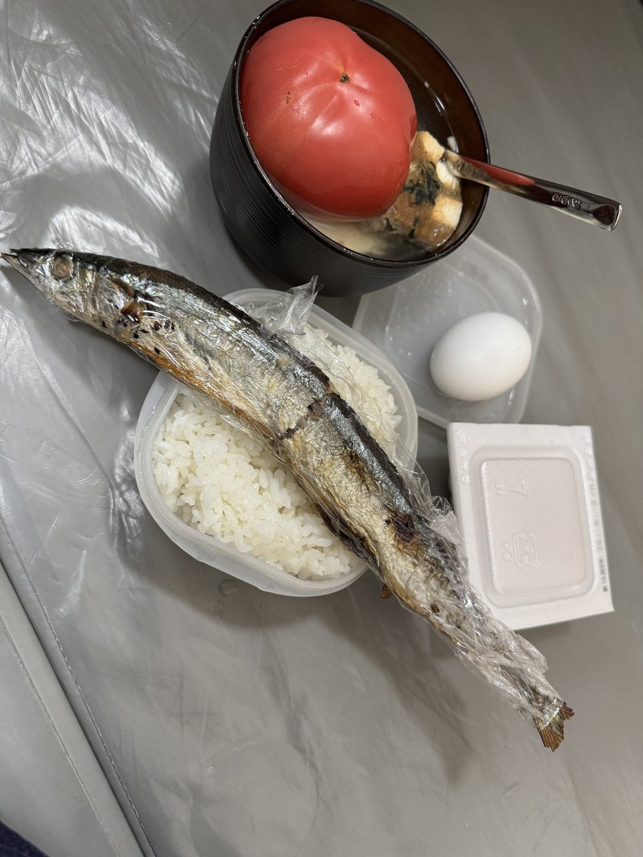 Shiari_boku2's tweet photo. 毎日お弁当生活189日目。

昨晩、くれまち家はサンマだったみたい。
良質な魚の栄養取れてラッキー！✌️ https://t.co/KvYbY5TeTS