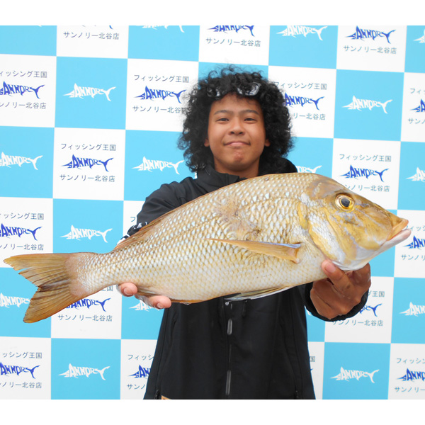 sannoryc's tweet photo. 釣師　：金城瑠真さん
釣行日：令和8年5月22日
釣場　：読谷
釣果　：タマン
全長　：52.5cm
重量　：1.8kg
#サンノリー #北谷 #釣具 #沖縄 #fishing #釣り #釣果 #タマン #読谷 https://t.co/wwwn5WbNJn