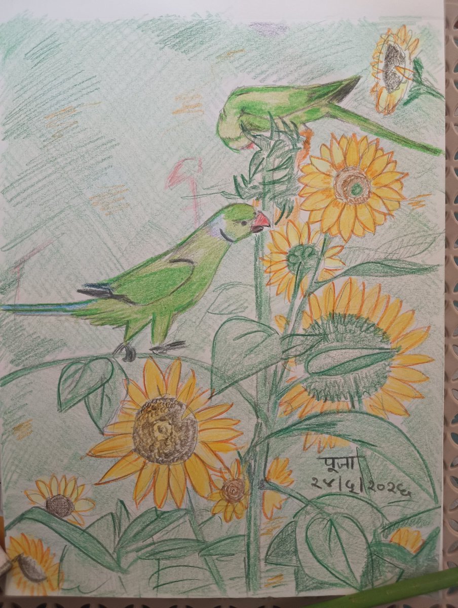 puja91076's tweet photo. #sunflowersketch... https://t.co/cb9xsUJXwO