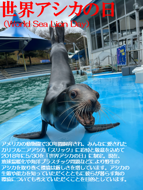 のとじま水族館（公式） (@notoaqua_jp) / Posts / X