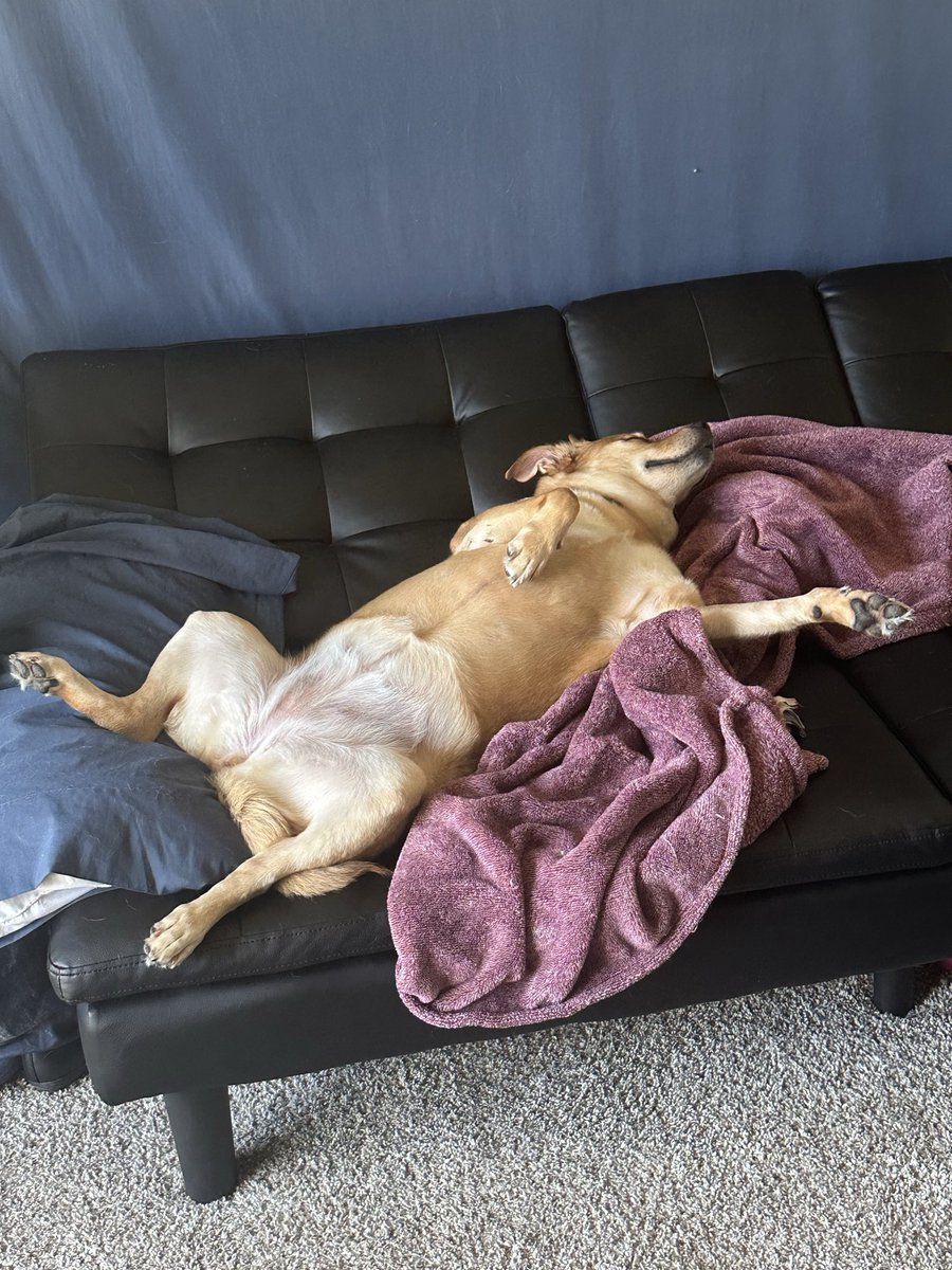 CommanderEagle's tweet photo. Goodnight patriots, see y’all tomorrow! 💤 https://t.co/JuWoZYeWch