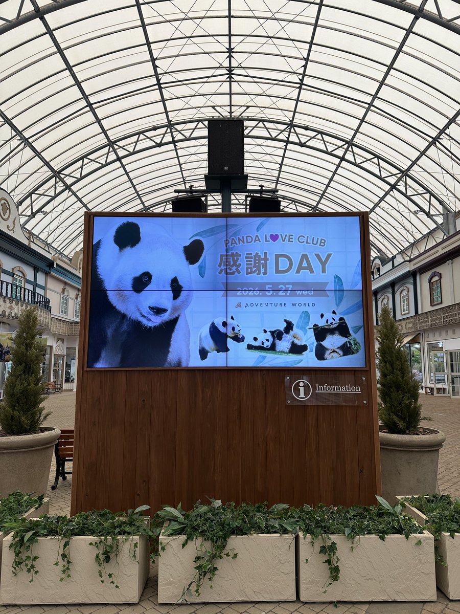 PandaPankoro's tweet photo. PANDA LOVE CLUB 感謝DAYに参加してきました
抽選会であの！副園長お手製！プレミアグッズに当選しました😍
らうちゃんは諸事情によりカット
(白く加工されすぎたため)知らんけど🤣

2022スプリングフェスの園内バナーが、今こうして手元に来てくれたことが感慨深い

#アドベンチャーワールド
#パンダ https://t.co/ycZUHqQ3dn