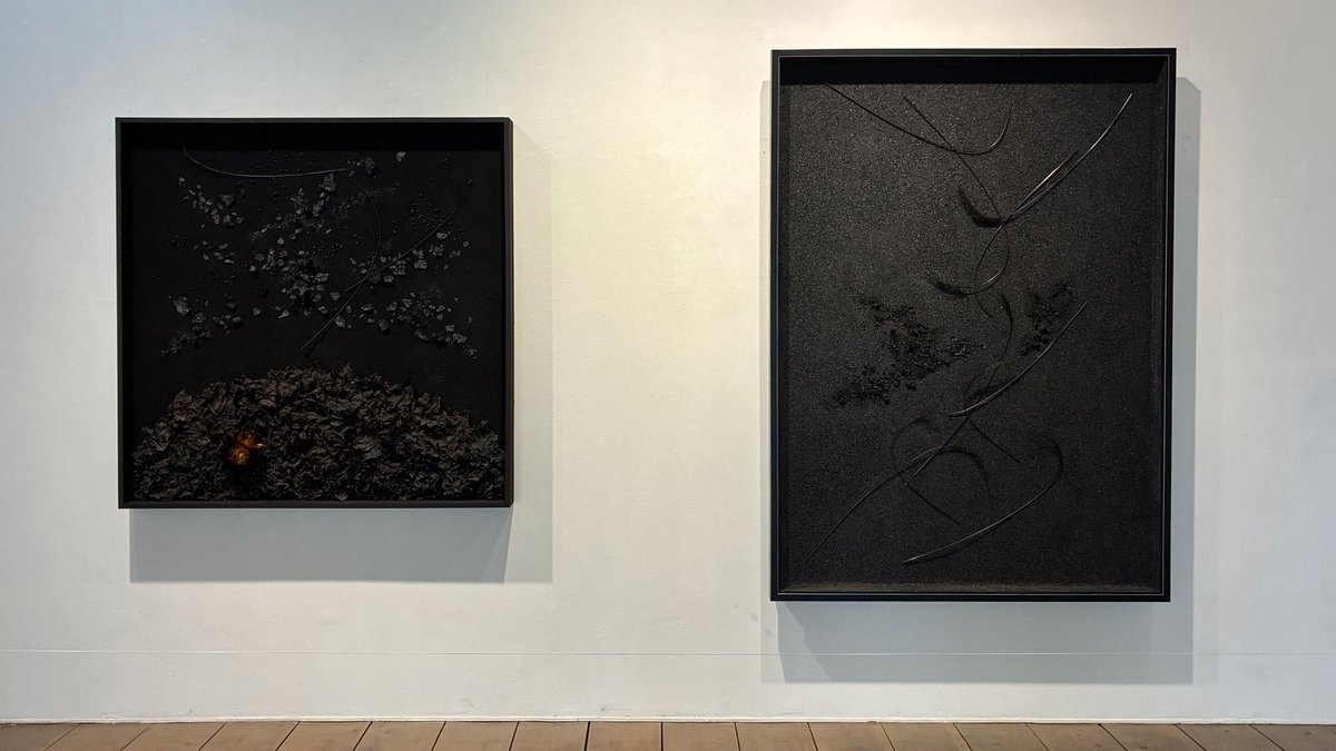 sd602kingyo's tweet photo. 大川春雪 個展『炭をいける』

2026年 5/26（火）ー5/31（日） 12:00~19:00 最終日17:00迄
https://t.co/2AET5cbfcW https://t.co/qraH19hYBh