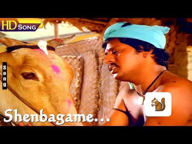 RadioPetti_Offl's tweet photo. Today’s 🐿️ muttu going to be, after high court ban on cow slaughter in order to improve milk production &amp; rural economy
#tvkfails #TVKLies #tvkmanipulators #cyberterrorist  #dmkitwing https://t.co/6X6fdpODdk