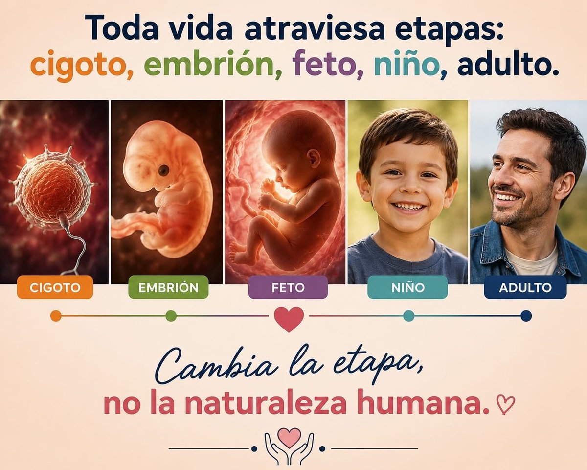 JessiOSG's tweet photo. La vida tiene el mismo valor en cualquier etapa de su desarrollo, sin importar cuán pequeña sea. No al aborto #VotaVidaSCJN https://t.co/LmK46gqgli