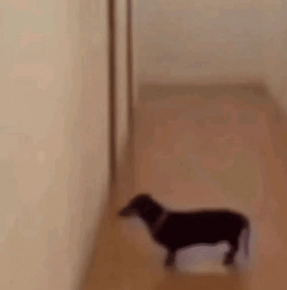 pinguibella's tweet photo. muita coisa pra aprender em tão pouco tempo de vida https://t.co/fI9zmFPfFC