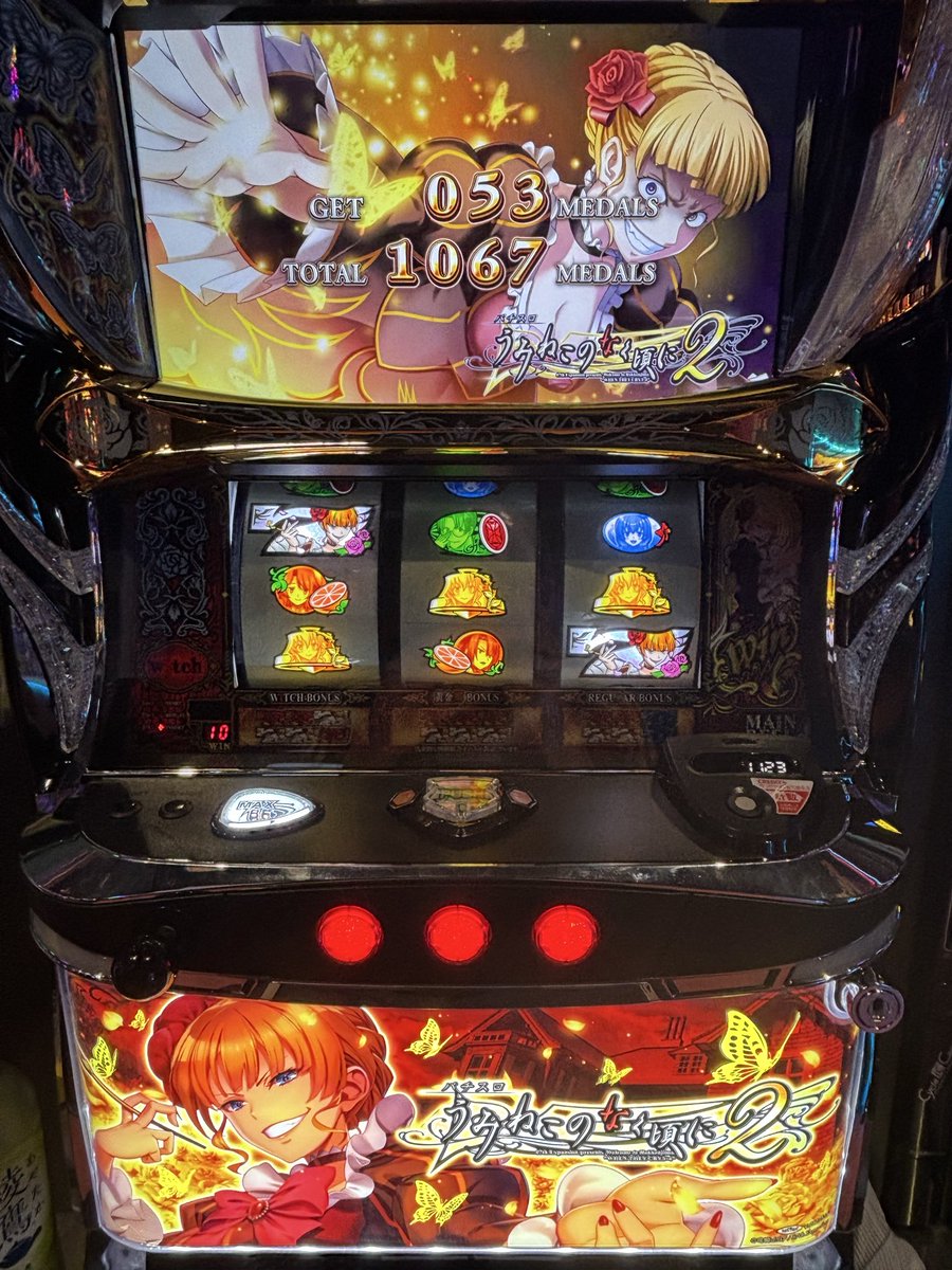 こむぎ (@komugi_327) / Posts / X
