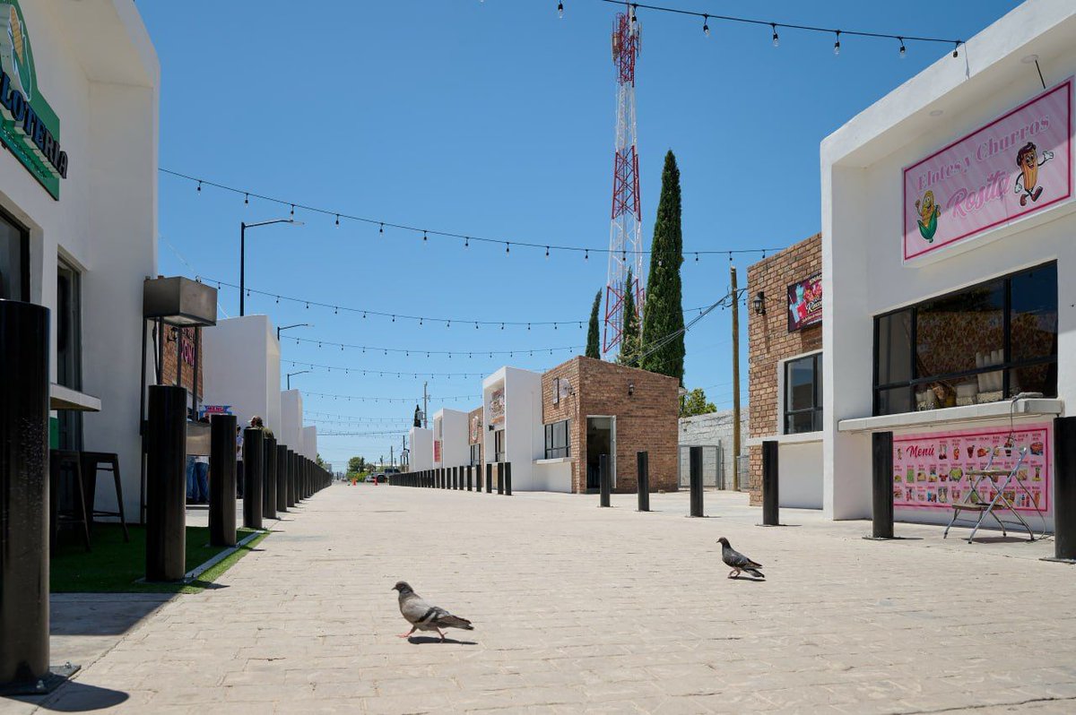Alfonso Durazo tweet media