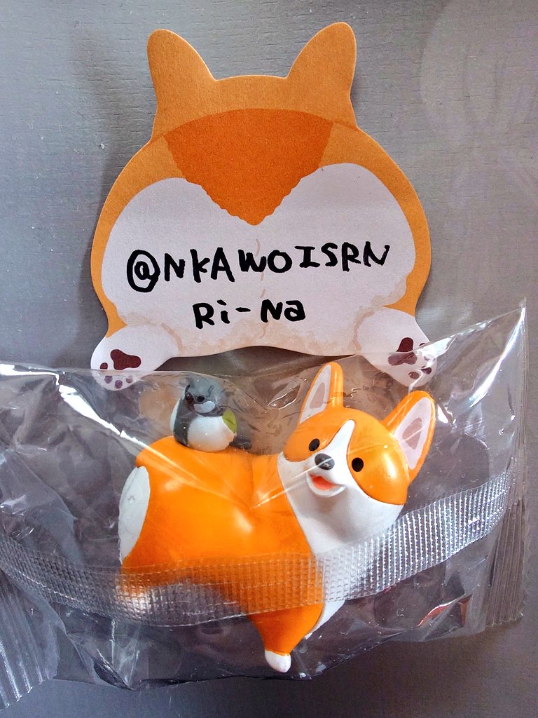 Ri-Na tweet media