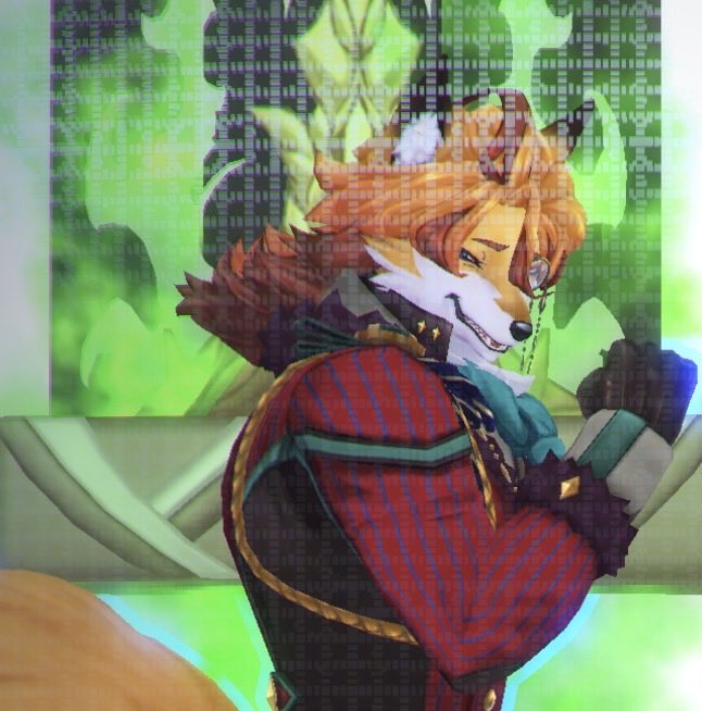 白上フブキ🌽フブキングダム👑 tweet media