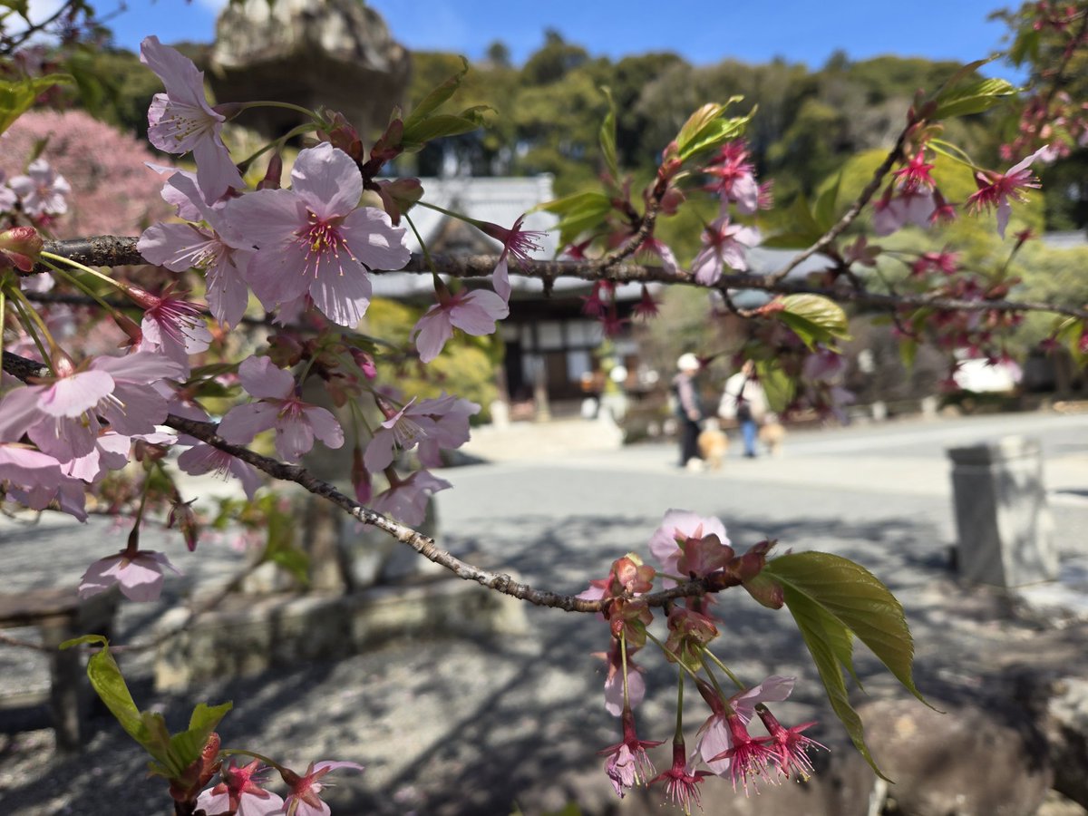 Milua_A3_'s tweet photo. とっても大変にお久しぶりでございます、みるあです。半年以上ぶりなのバグでは。
とはいえ半年何も無かったはずもなく、現実世界の隅もすみっこに自分の居所を発掘しまして、手芸ときたま細かい作業。細々やっていこうという次第です。製作物の写真は無かったので誕生日で行った静岡とおピューロ。 https://t.co/oZ9V2P9lMF