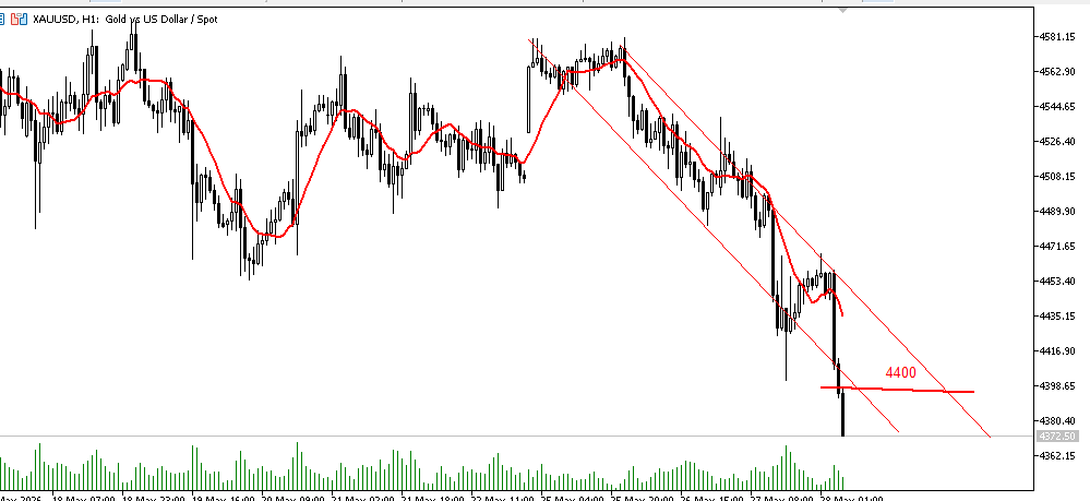 TradersXauusd's tweet photo. On May 28, 2026, gold (XAU/USD) is currently fluctuating around $4,373, exhibiting a clear short-term accelerated decline.
Technical Analysis:
1. Clear Bearish Pattern and Breakout
From the candlestick chart you provided (with moving average indicators), we can see:
Accelerated Breakout: Gold prices previously traded in a narrow rectangular range around $4,500 for a period. However, recently, the candlestick broke through the previous key support level and broke through the psychological level of $4,400 with consecutive large bearish candlesticks.

Moving Average Resistance: The red moving averages (MA) in the chart show a downward sloping death cross bearish pattern. Currently, the candlestick is completely below the moving averages, and the deviation from the moving averages is widening, indicating a rapid increase in bearish volume and strong downward momentum.
2. Key Support and Resistance Levels
Key Support:
$4,370 - $4,375: This area is not only a significant historical consolidation zone since October of last year, but also a key strategic test line for the current weekly 200-day moving average (200 EMA). If this level is substantially broken on the daily chart, further downside potential will open up, potentially sliding towards $4,250 or even $4,100.
Intraday Resistance:
$4,400: This has transformed from a previous support level into the first psychological resistance level for the day. Trading should follow the trend, continuing to focus on sell orders!  #XAUUSD #FED