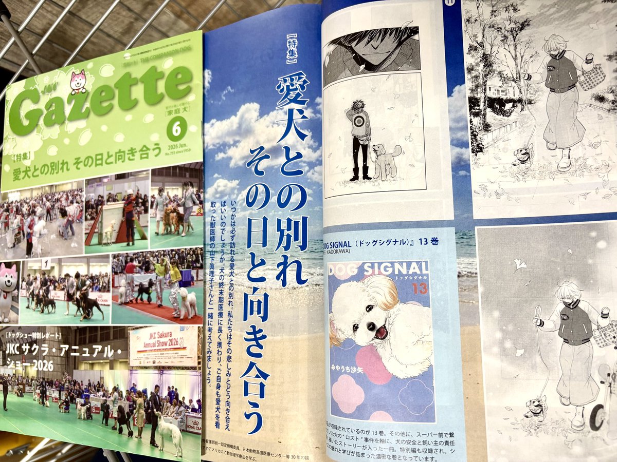 saya_miyauchi's tweet photo. 【掲載情報】
JKC会報Gazette６月号

特集・愛犬との別れ その日と向き合う

DOG SIGNALから短編「巡り、巡る。」を掲載していただいております。

#DOGSIGNAL 
#ドッグシグナル 
#みやうち沙矢 https://t.co/sUMcsIzIdD